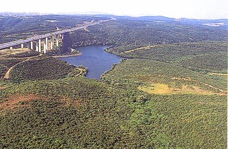 Tamamlanm?? ye?il ku?ak al??mas?.